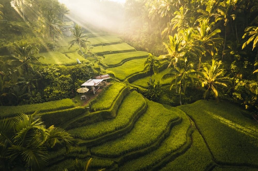 indonesia visa on arrival